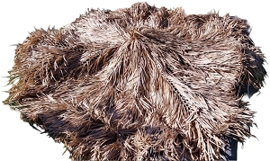 Viro Mex Rain Cape Top - Top Side View